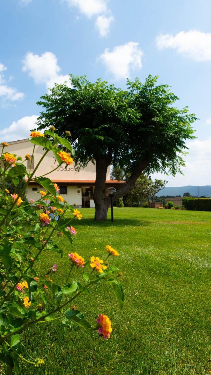 Agriturismo Diaccia Botrona Castiglione della Pescaia Zewnętrze zdjęcie