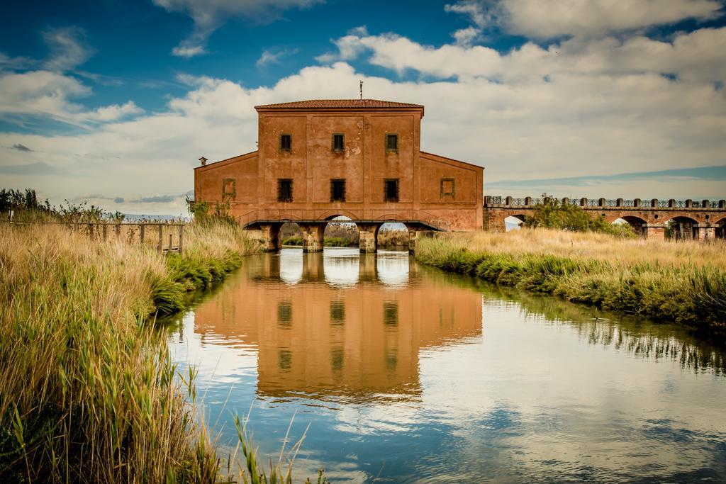 Agriturismo Diaccia Botrona Castiglione della Pescaia Zewnętrze zdjęcie